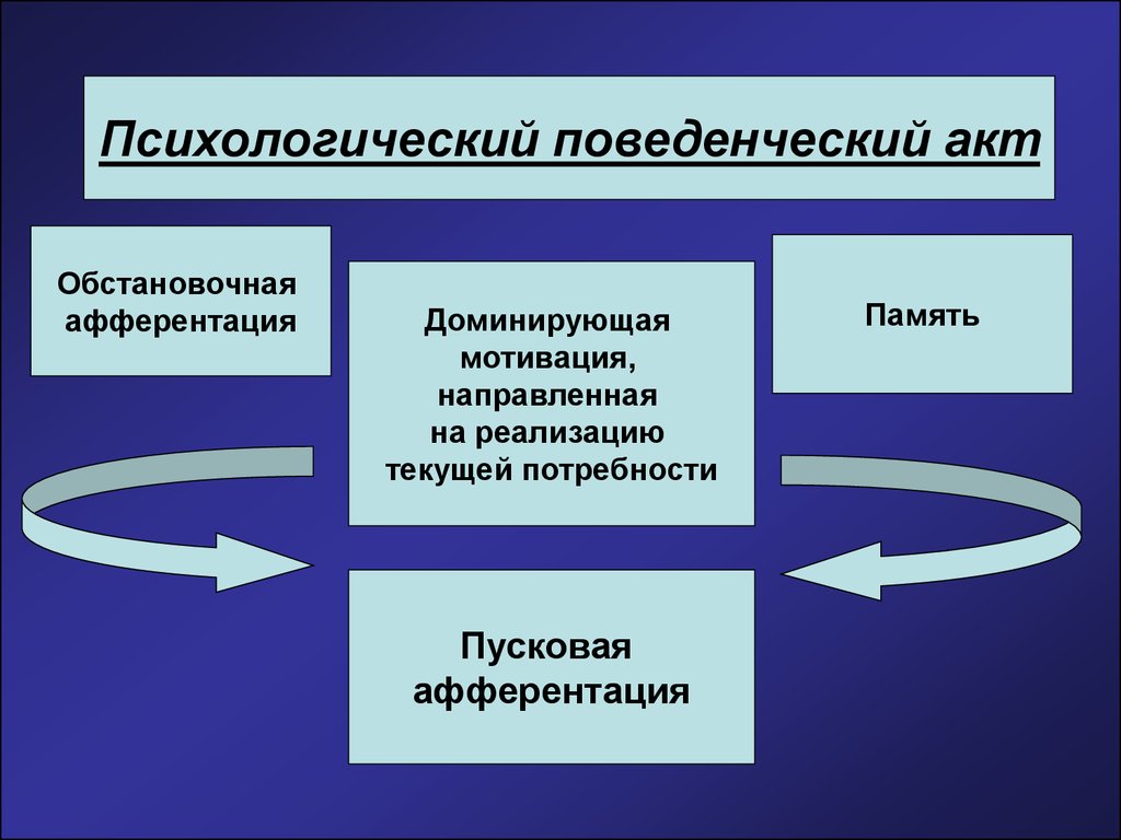 Психологический поведенческий. Обстановочная афферентация. Стадии поведенческого акта. Поведенческий акт это в психологии. Целенаправленный поведенческий акт.