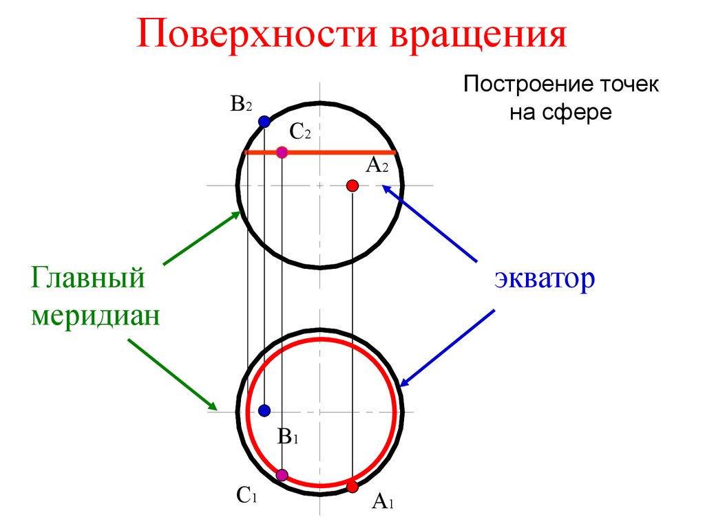 Точки поверхности. Профильный Меридиан цилиндра. Поверхности вращения. Точки на поверхности сферы. Точка на поверхности вращения.