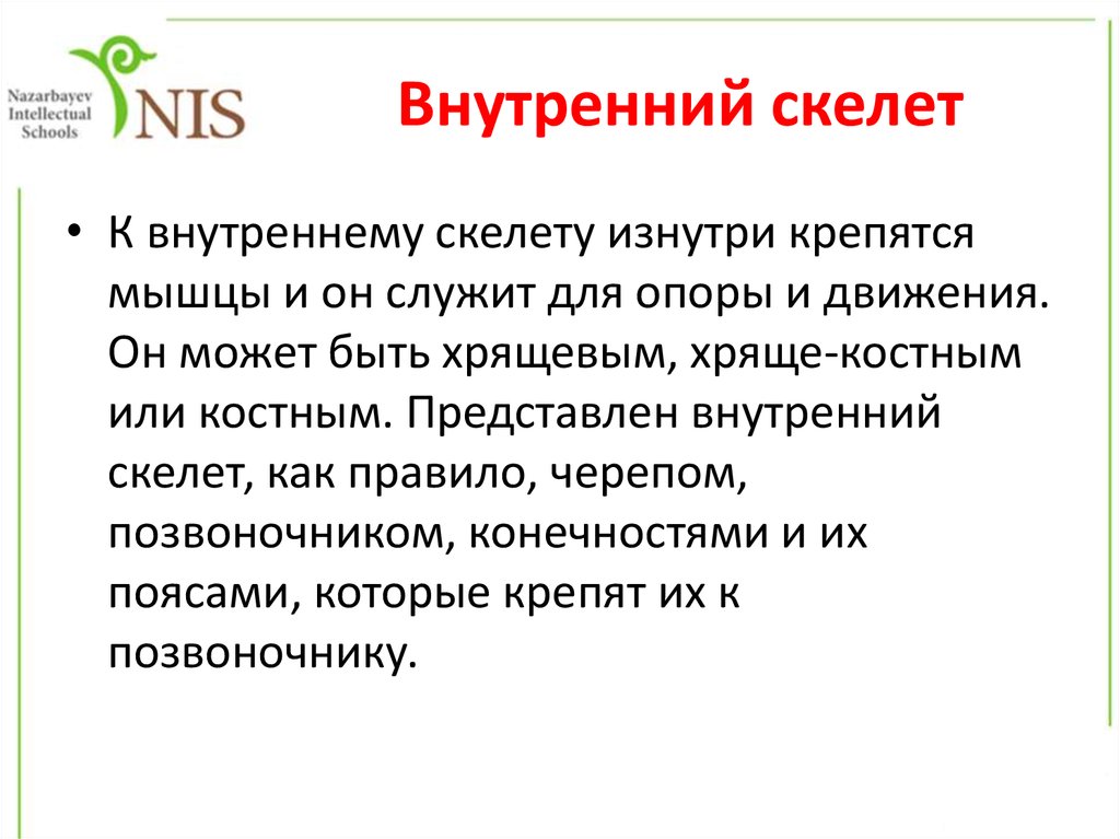 Внутренний скелет. Внутренний скелет это в биологии. Наружный и внутренний скелет. Внутренний скелет у кого.