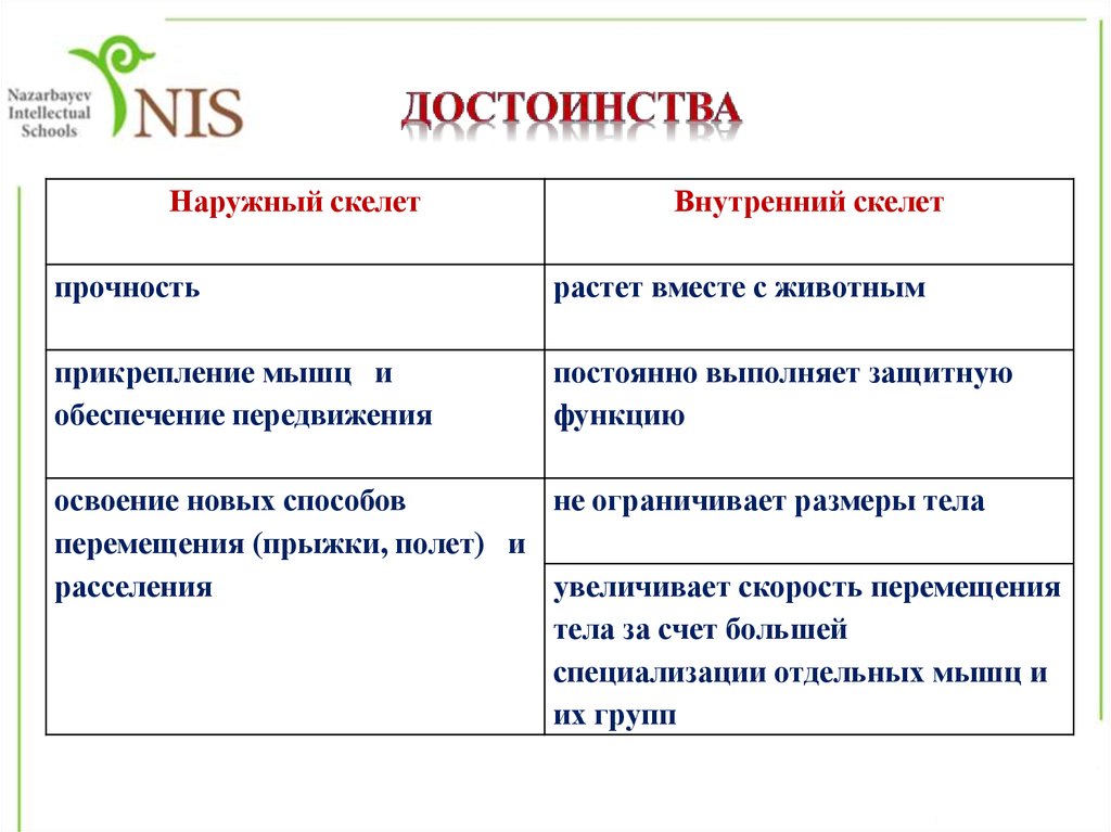 Внутренний скелет. Наружный скелет. Достоинства наружного и внутреннего скелета. Преимущества внутреннего скелета. До тоинства наркжного акелета.