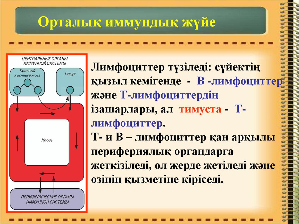 Иммунитет егэ презентация