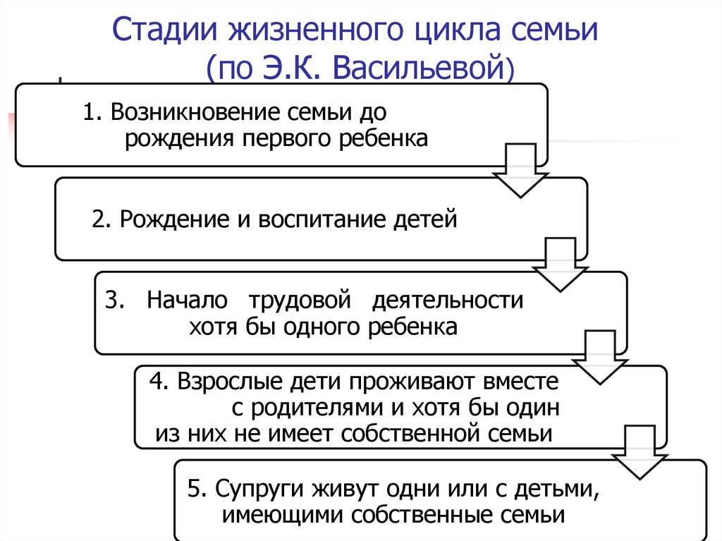 Какие стадии можно выделить в жизненном цикле