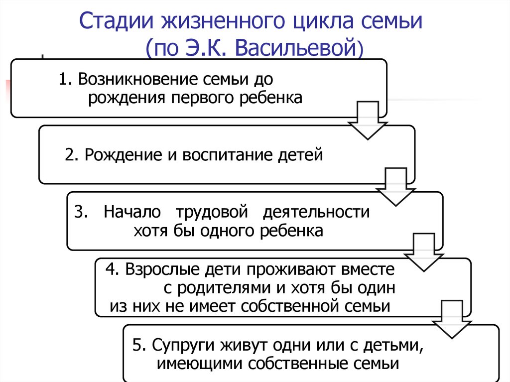 Жизненный цикл семьи схема