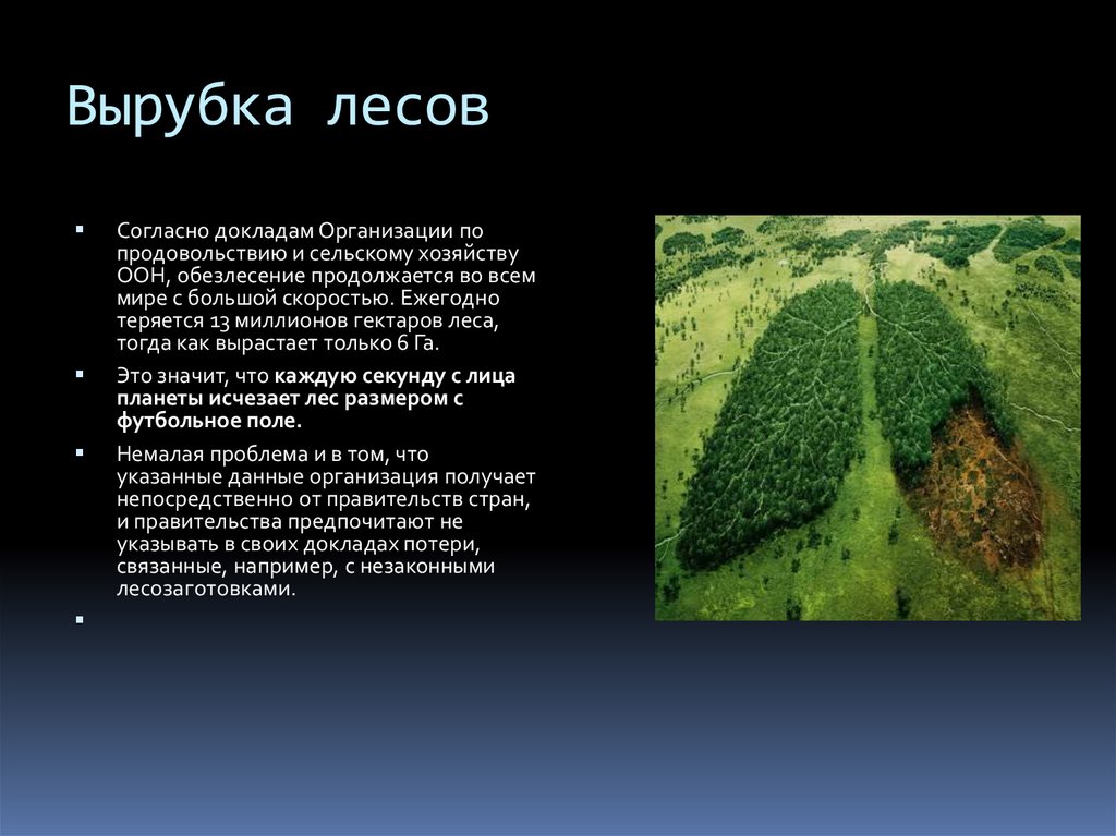 Сведение лесов в бассейнах рек приводит. Влияние вырубки лесов на климат. Массовое сведение лесов последствия. Пути решения вырубки лесов в России. Последствия вырубки лесов.
