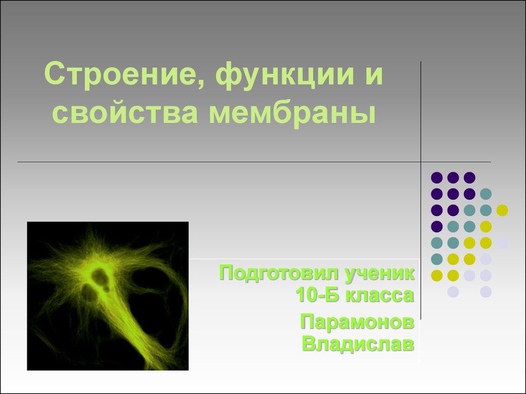 Свойства мембран презентация