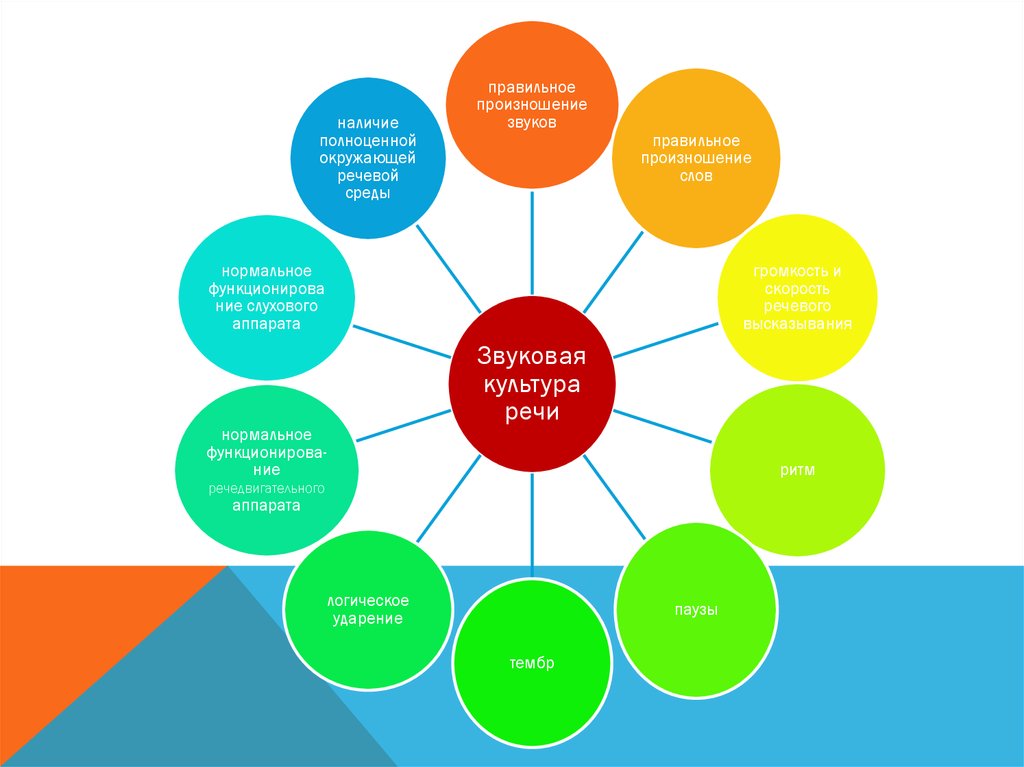 Культура речи методика. Формы работы по звуковой культуре речи. Формы работы по воспитанию звуковой культуры речи. Формы работы по формированию звуковой культуры речи. Разделы звуковой культуры речи схема.