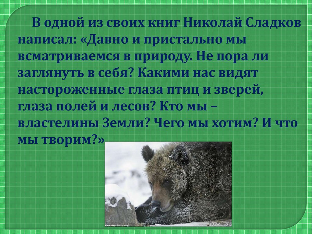 Презентация николай сладков 1 класс