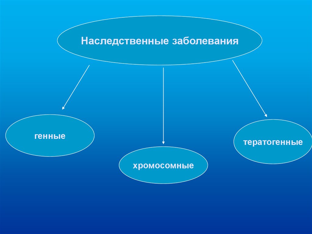 Наследственные болезни проект