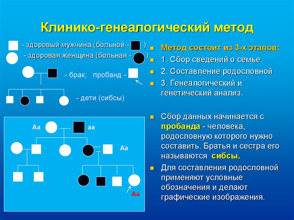 Генеалогическое исследование. Родословная генетика пробанд. Генеалогический метод пробанд. Метод генеалогического анализа. Клинико генеалогический метод генеалогический анализ.