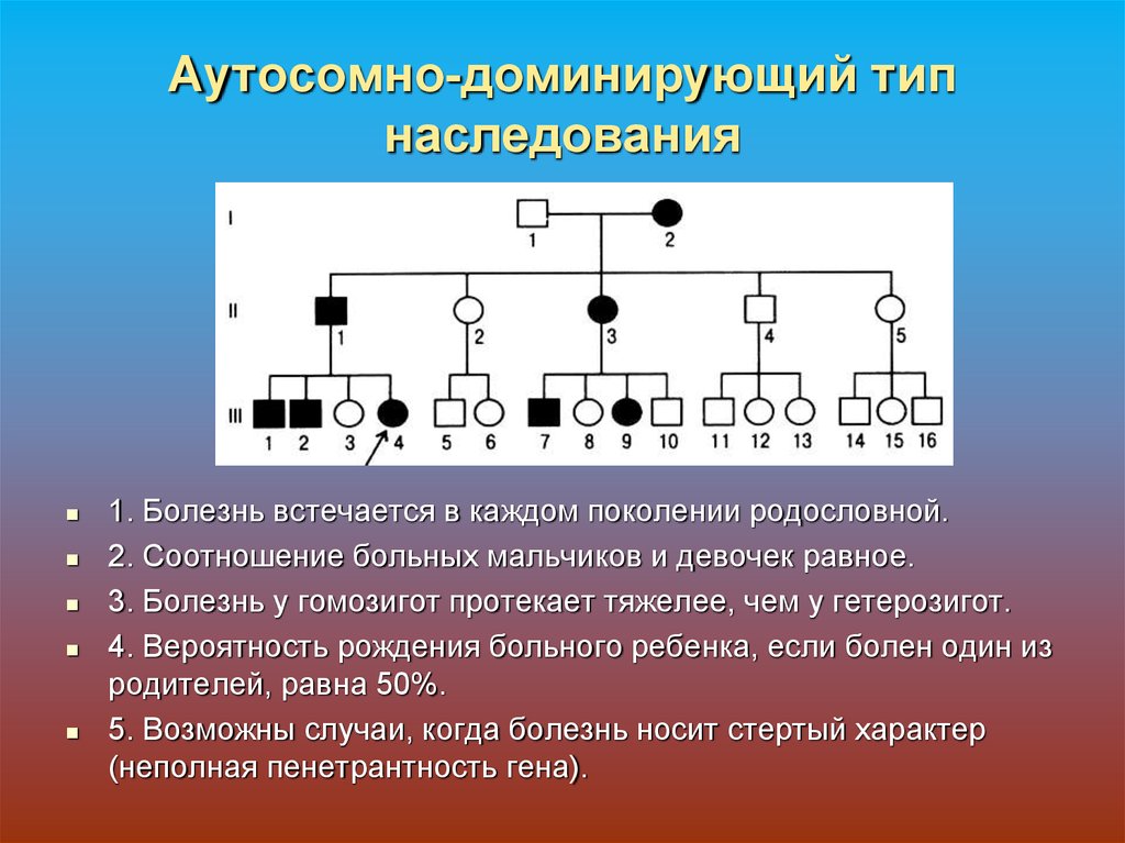 Аутосомные доминантные наследственные заболевания. Схема родословной на аутосомно-доминантный Тип наследования. Родословная рецессивный Тип наследования. Аутосомно-рецессивный Тип родословная. Родословная с аутосомно-доминантным типом наследования.