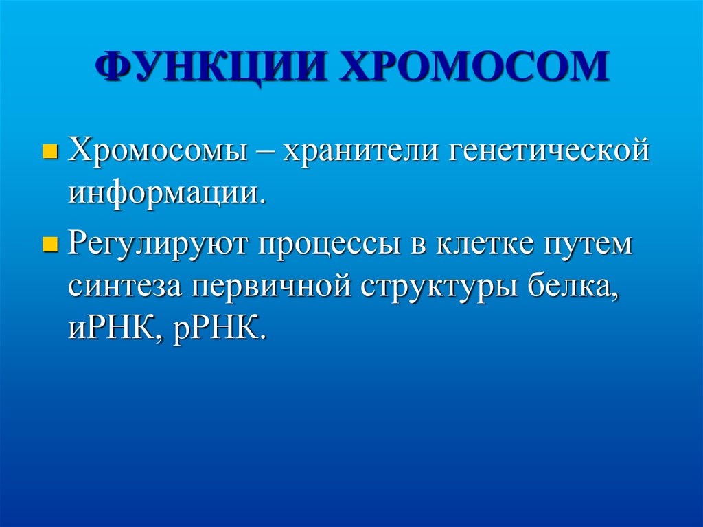 Какую роль выполняет генетический. Функции хромосом. Функции. Хромосомовхромосомов.. Функции риьосом. Функции хромосом в клетке.