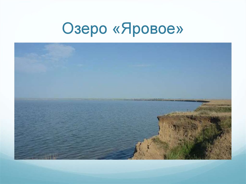 Чем полезно яровое. Озеро Яровое Алтайский край. Мёртвое озеро на Яровом. Город Яровое. Озеро большое Яровое на карте.