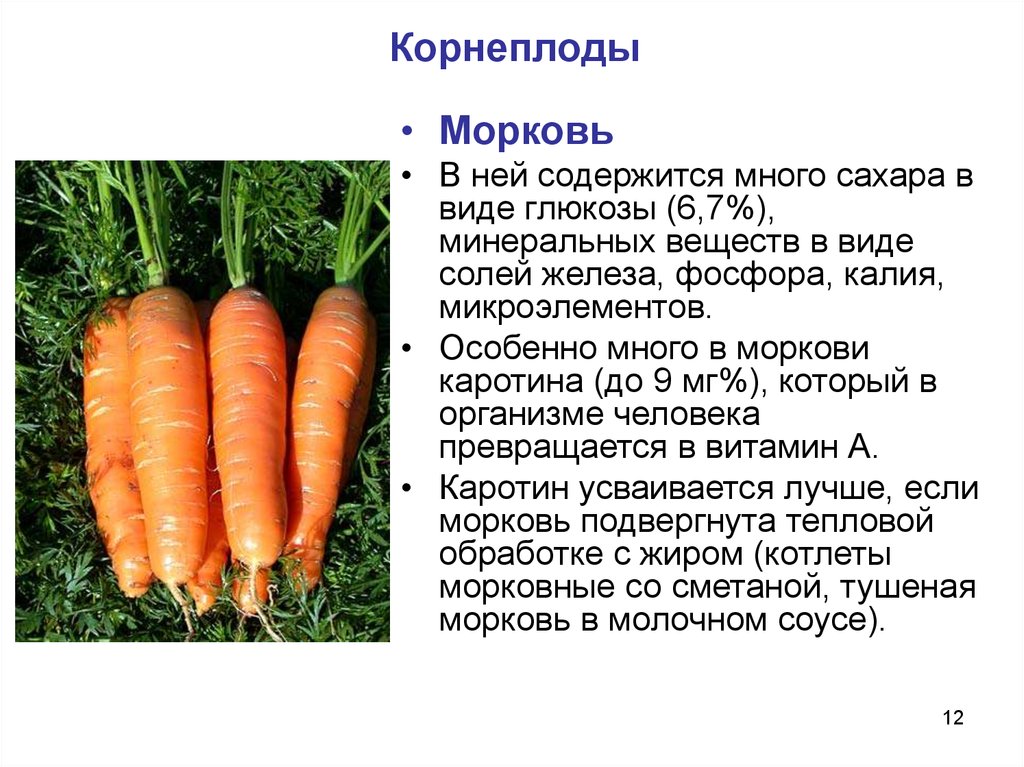 Морковь относится к группе. Морковь Каспий f1. Характеристика сортов корнеплодов морковки. Морковь Скорпио f1. Внешний вид моркови.