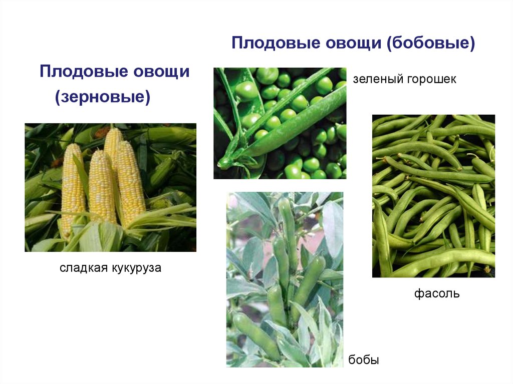 Районы выращивания зернобобовых культур