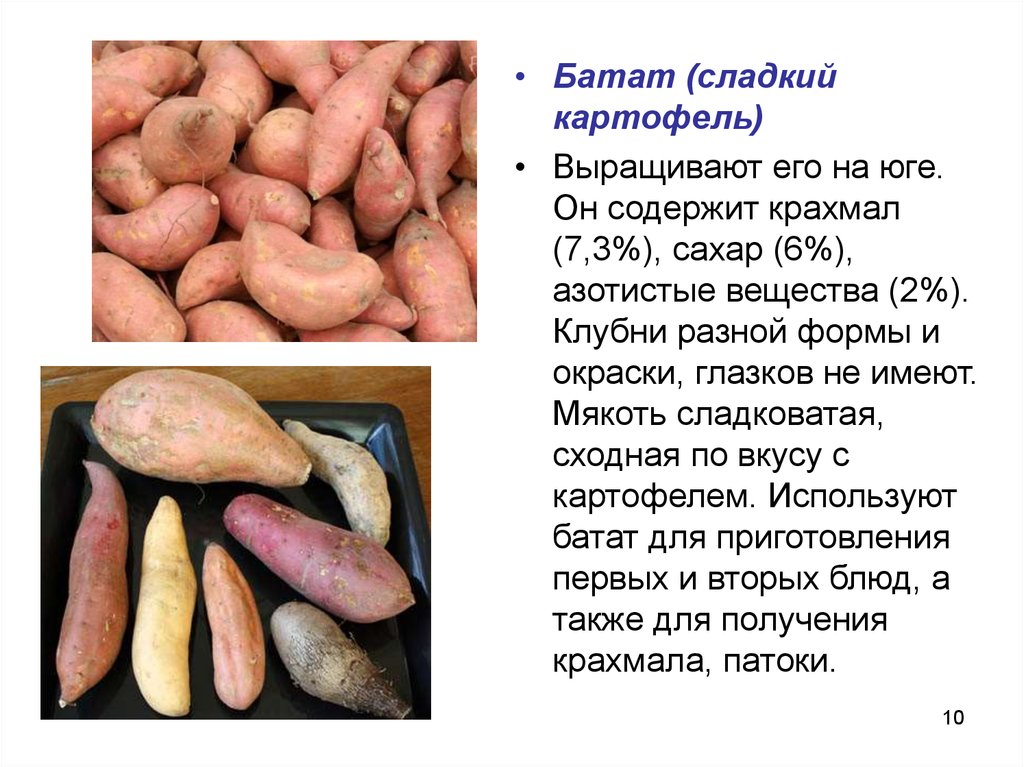 Батат польза. Крахмал в батате. Калорийность батата и картофеля. Чем полезен батат. Батат презентация.