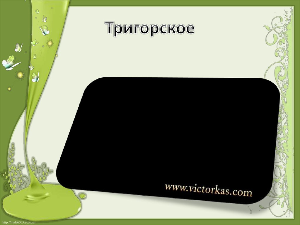 Тригорское