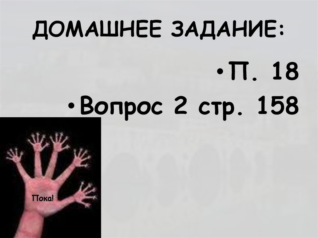 ДОМАШНЕЕ ЗАДАНИЕ: