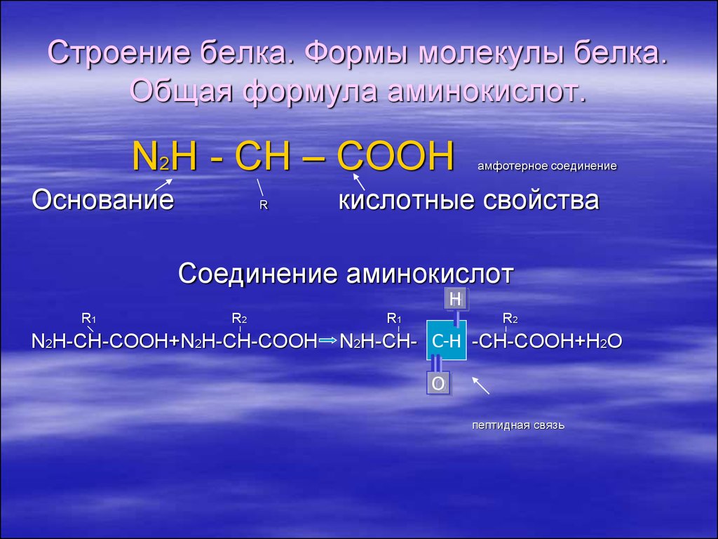 Почему аминокислоты амфотерные. Общая формула белков химия. Белки общая формула химия. Общая химическая формула белков. Формула белка.