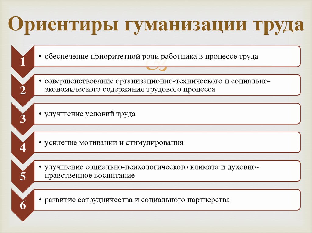 Найдите в приведенном списке проявления гуманизации