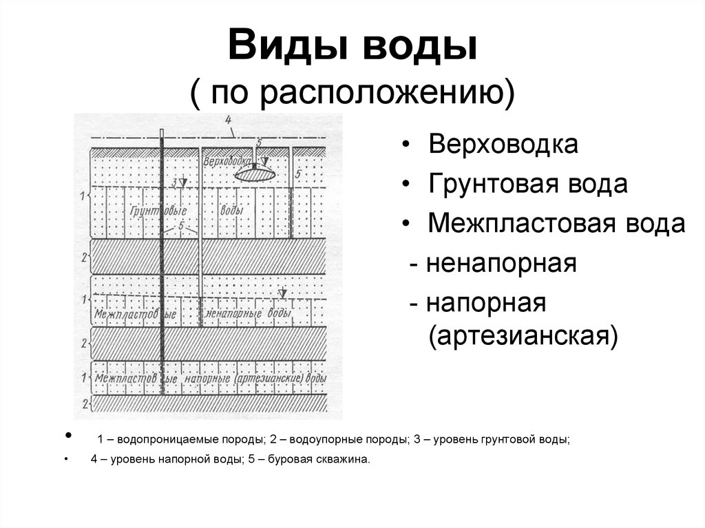 Верховодка это. Верховодка межпластовые подземные воды. Подземные воды типа верховодка. Верховодка и грунтовые воды. Верховодка грунтовые воды артезианские воды.