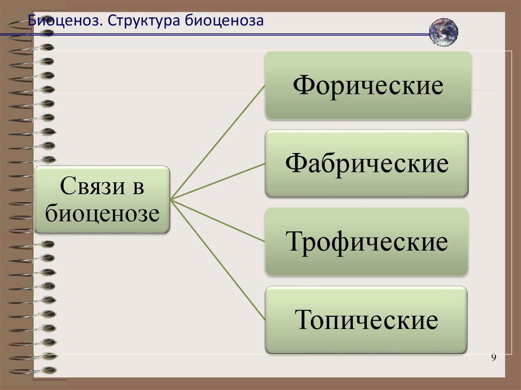 Биоценоз — Рувики: Интернет-энциклопедия