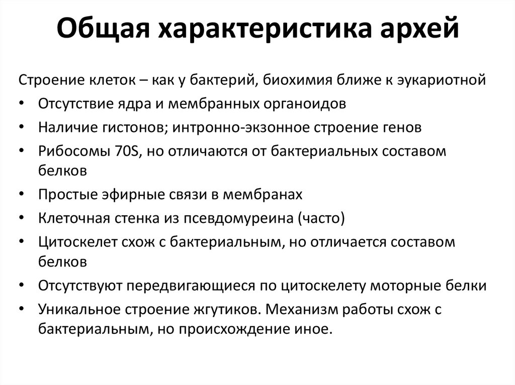 Общая характеристика 7 класс. Характеристика архебактерий кратко. Архей характеристика кратко. Археи характерные признаки. Царство археи общая характеристика.