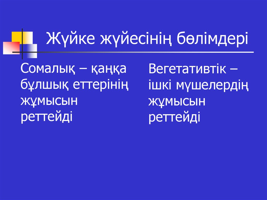 Ішкі мүшелер жұмысының жүйкелік реттелуі. Ішкі мүшелер жұмысының жүйкелік реттелуі 7 класс презентация. И.П.Павлов бойынша Жоғары жүйке қызметінің 4 тобы. А және в типті жүйке жүйелерін салыстыру. Ж?йке ж?йесі слайд.