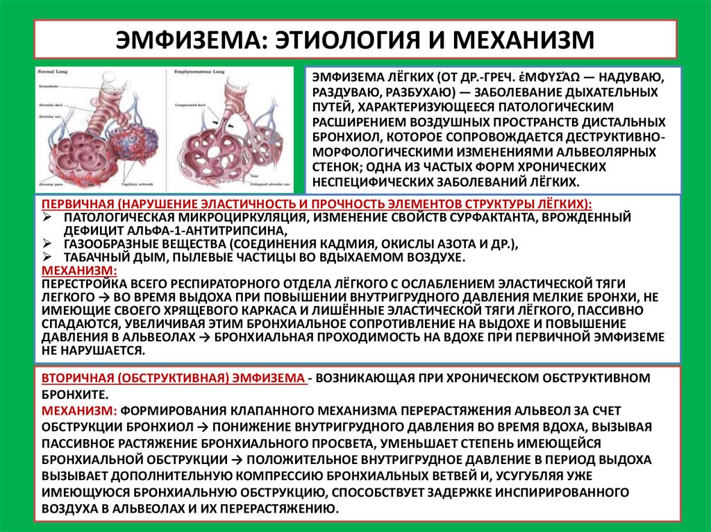 Бронхиальная обструкция. Механизмы обструкции при эмфиземе. Эмфизема легких механизм. Эмфизема лёгких механизмы развития. Патогенез эмфиземы легких.