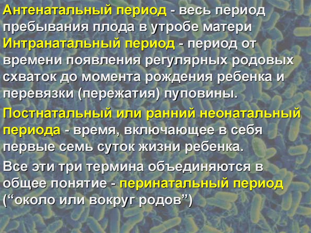 Антенатальный период перинатальный период. Периоды антенатального развития плода. Антенатальный и интранатальный периоды. Перинатальный и постнатальный периоды. Перинатальный антенатальный неонатальный периоды.