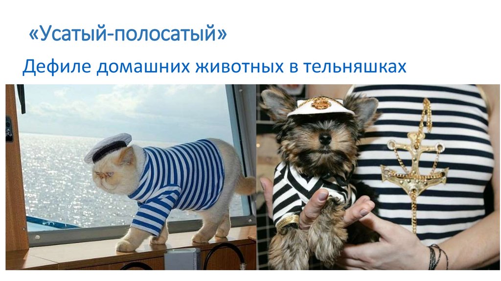 «Усатый-полосатый»