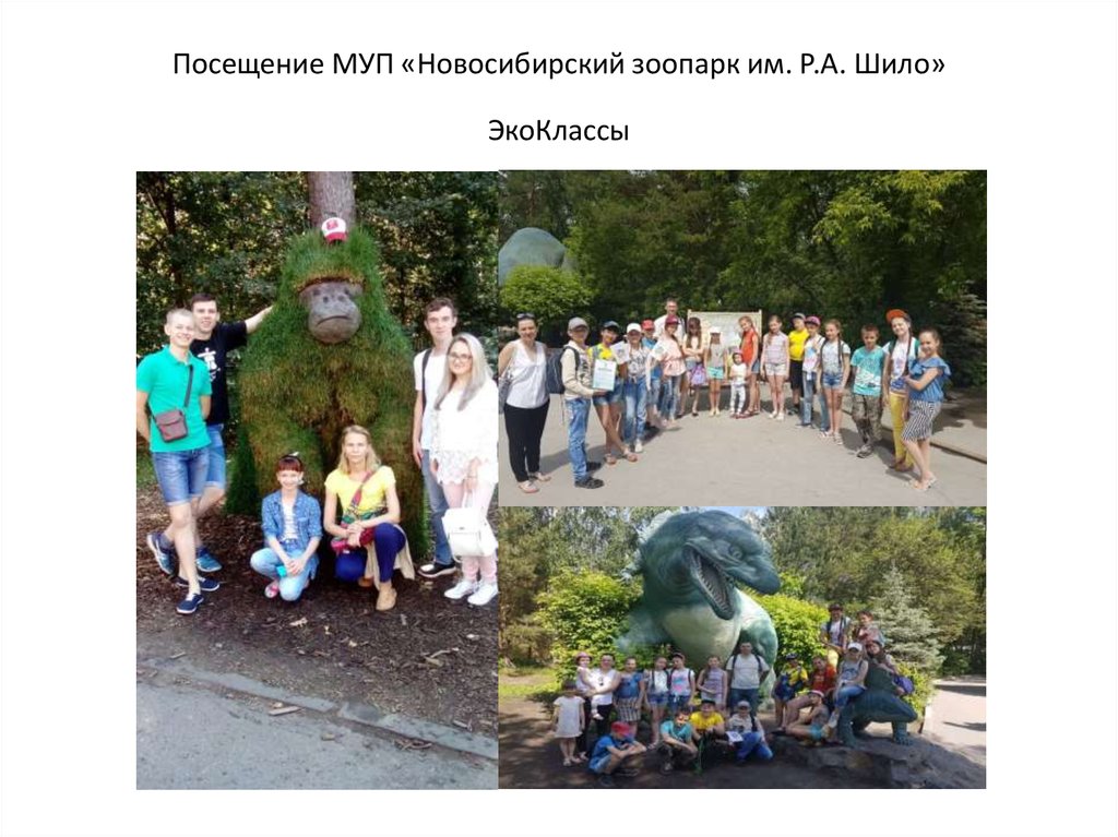 Посещение МУП «Новосибирский зоопарк им. Р.А. Шило» ЭкоКлассы