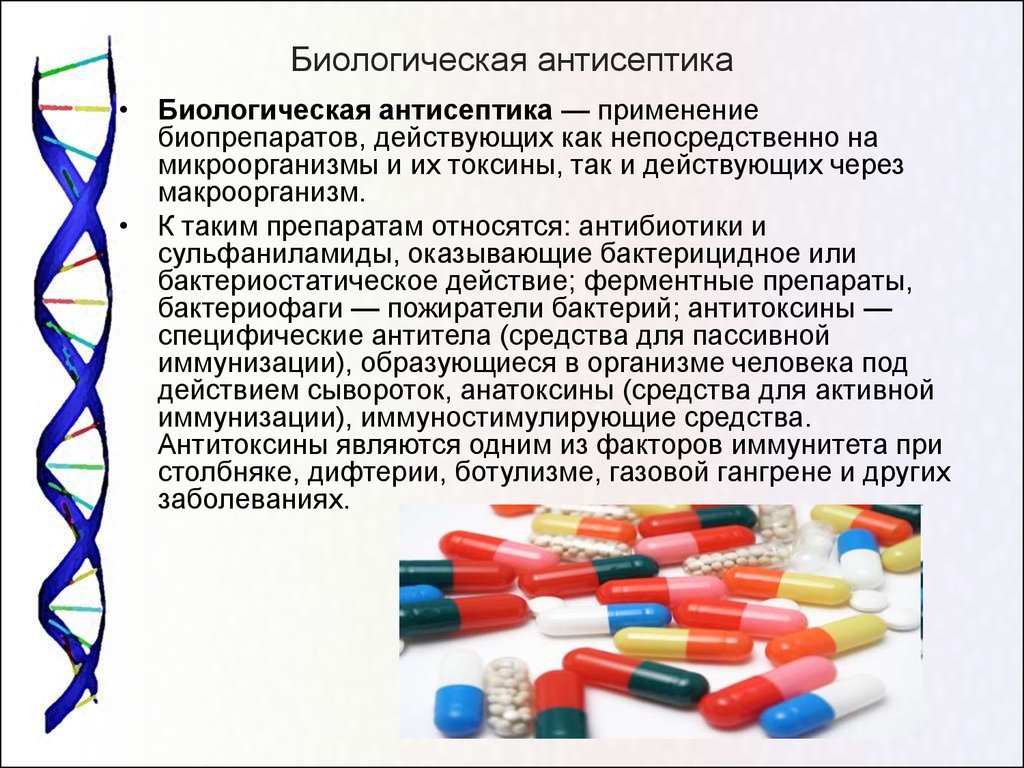 Методы воздействия биологической антисептики на микроорганизмы заполните схему