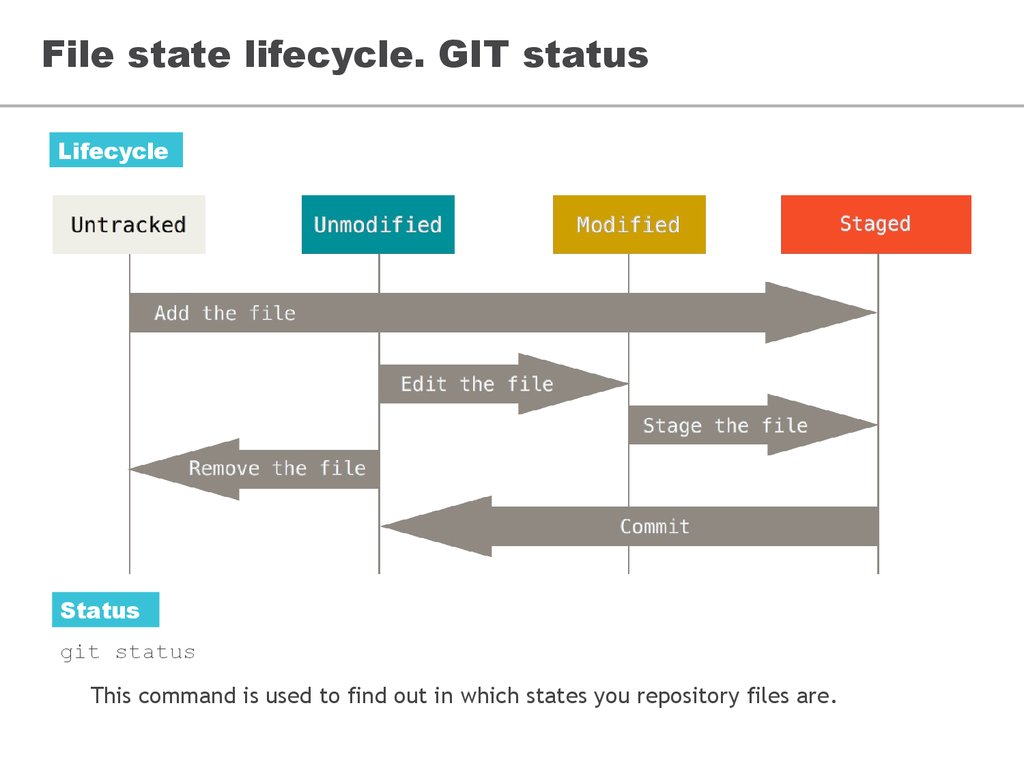 Git tracking. Состояния файлов в git. Жизненный цикл файла. Жизненный цикл git. Git цикл.
