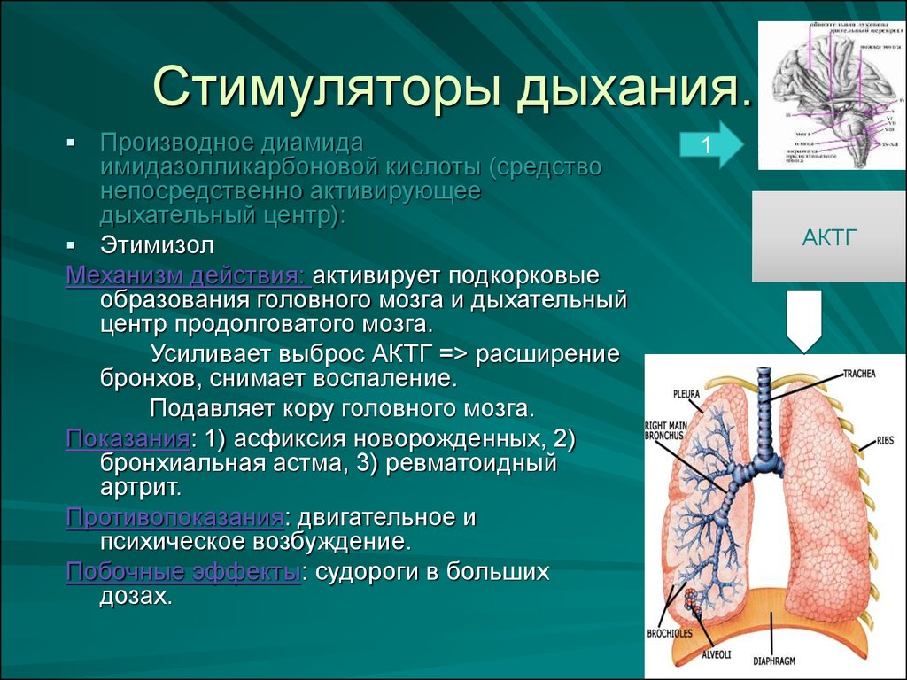 Кофеин стимулятор дыхания