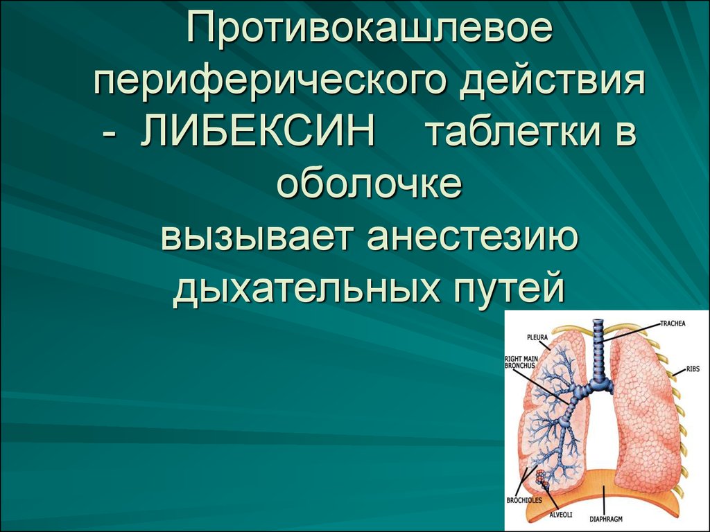 Функции дыхательных путей. Противокашлевое периферического действия. Периферическое действие это. Противокашлевое действие периферического действия.