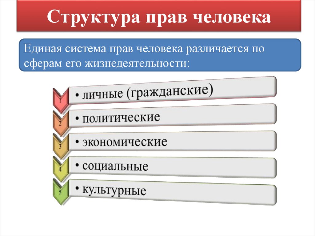 Виды прав человека презентация