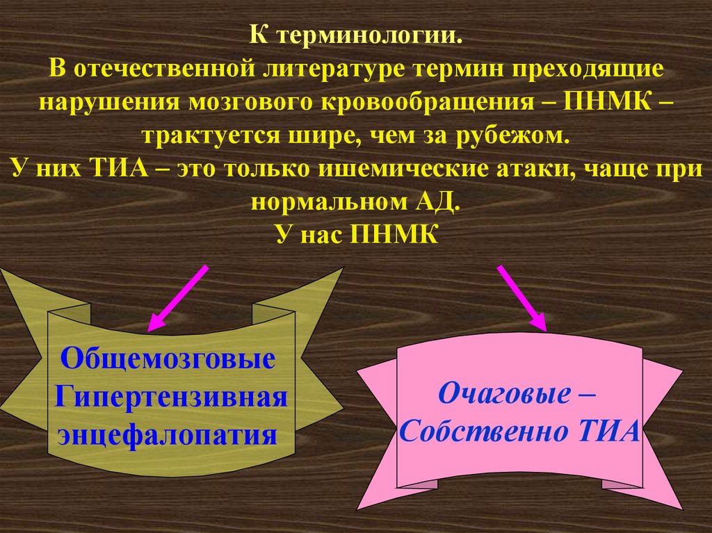 Отечественные термины