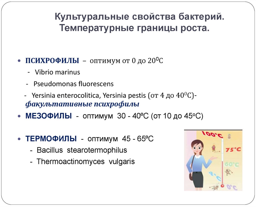 Культуральные свойства бактерий