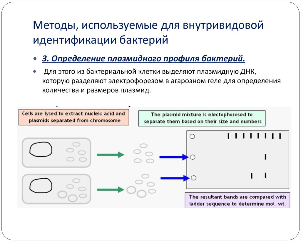 Методы выделения контуров на изображении