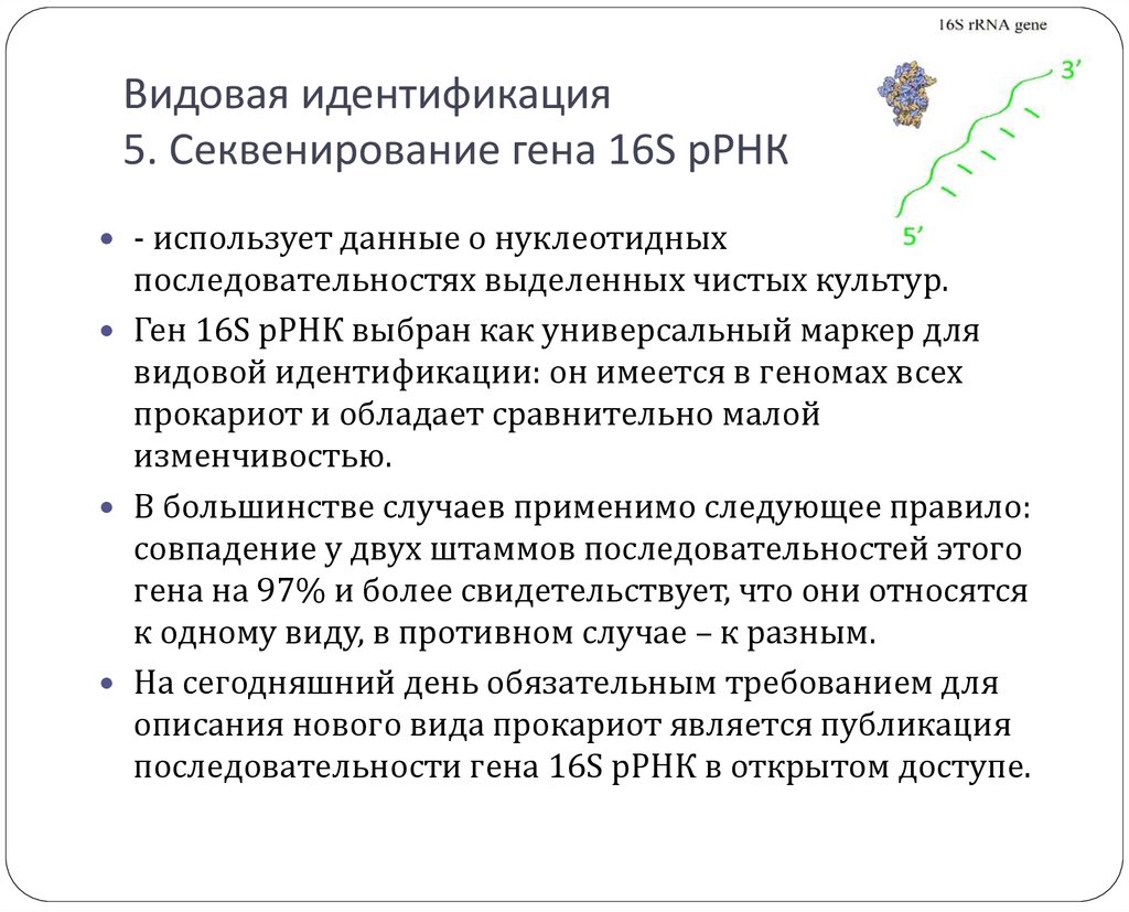 Метод 16. Секвенирование 16s РРНК. Секвенирование Гена 16s РРНК. Секвенирование генов 16s рибосомальной РНК. 16 S секвенирование микробиоты.