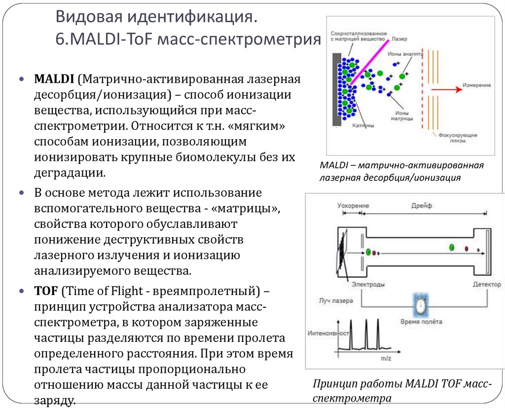 Масс спектроскопия презентация