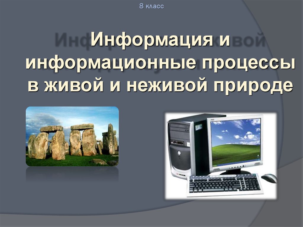 Природа информатики. Информация и информационные процессы в неживой природе. Информация в живой и неживой природе. Информация в неживой природе Информатика. Информация и информационные процессы в живой природе.