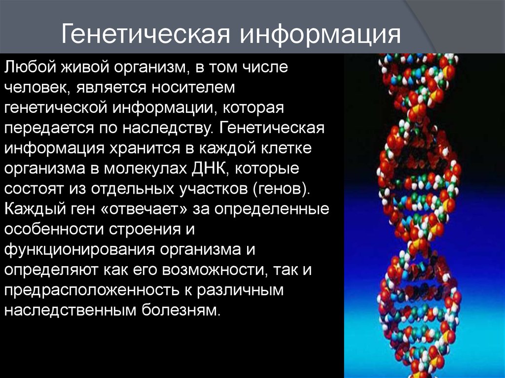 Наследственная информация ген. Носитель генетической информации. ДНК носитель наследственной информации. ДНК как носитель генетической информации.