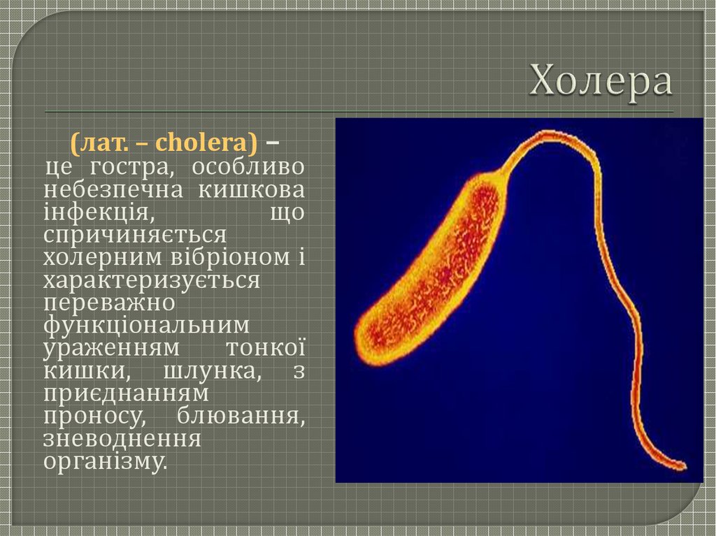 Формы холеры