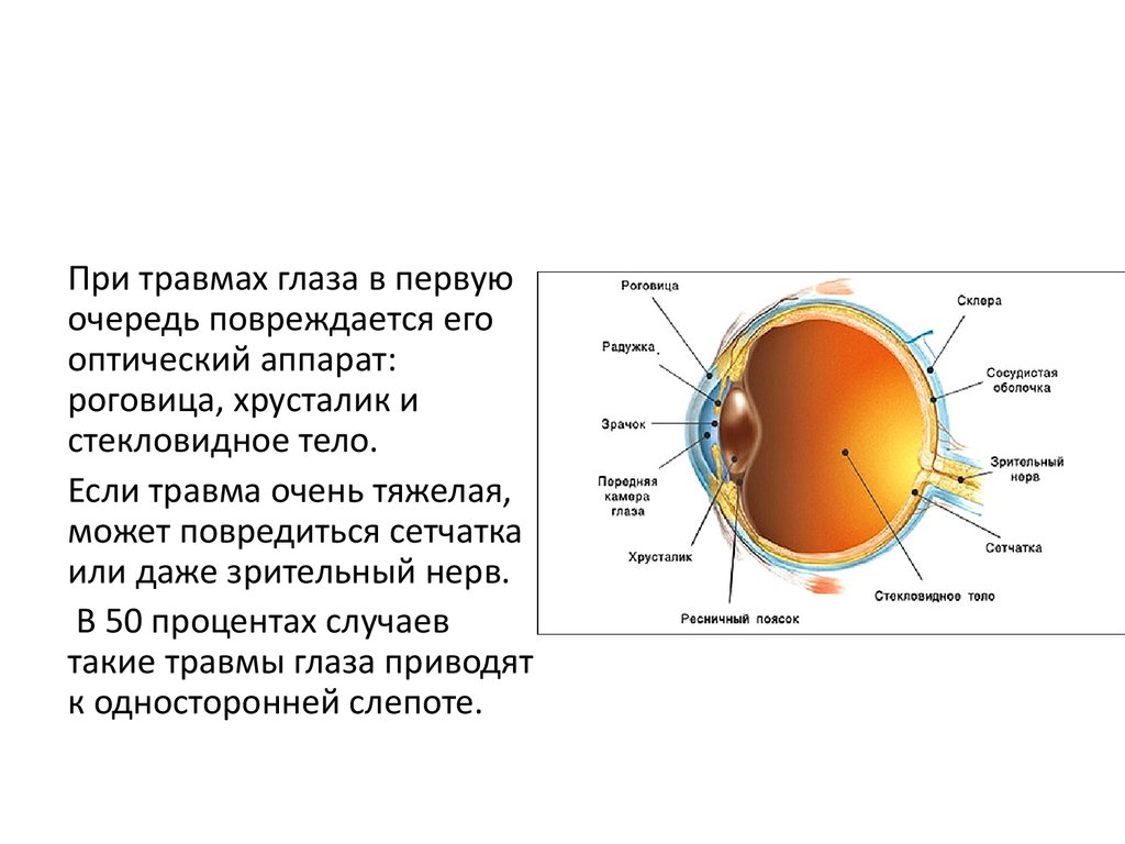 Заболевание и повреждение глаз биология 8 класс