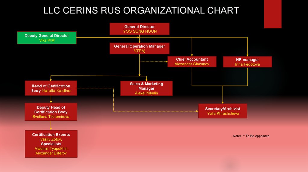 Llc Organizational Chart