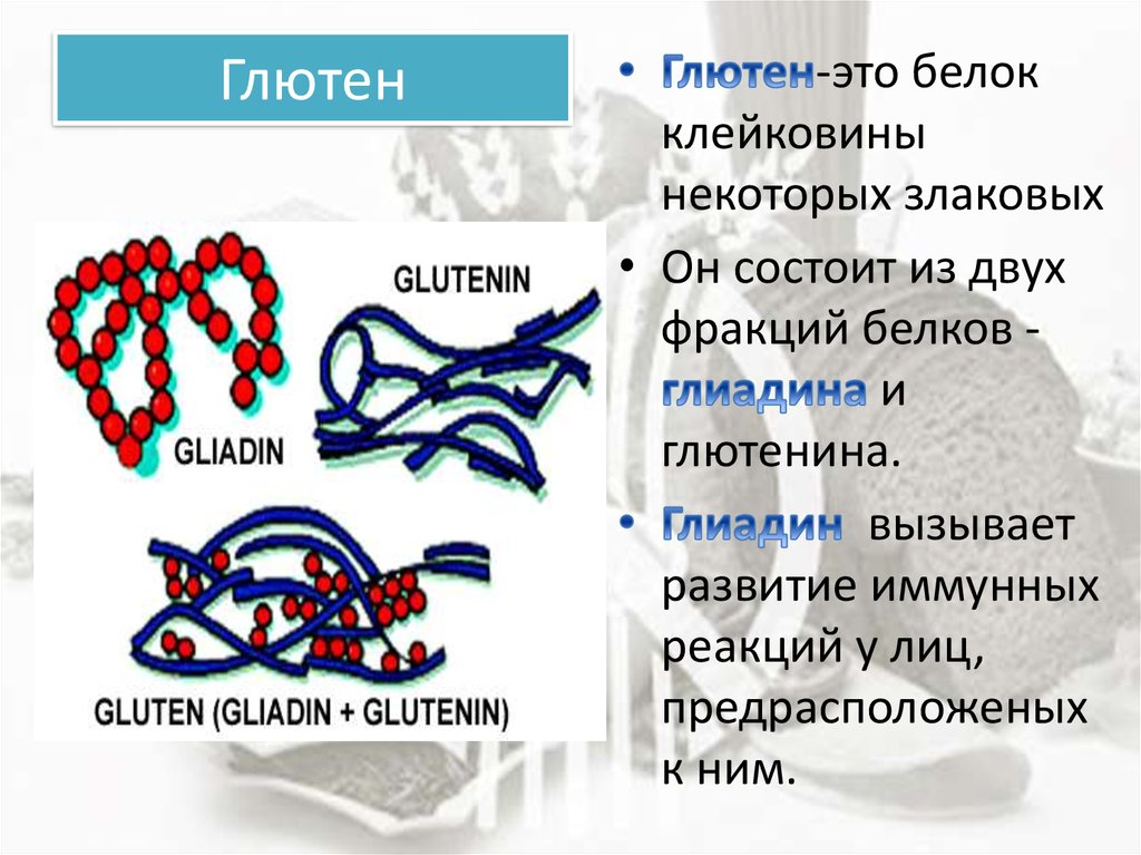 Глютен что это. Глютен. Флютен. Глютен белок. Чем вреден глютен.