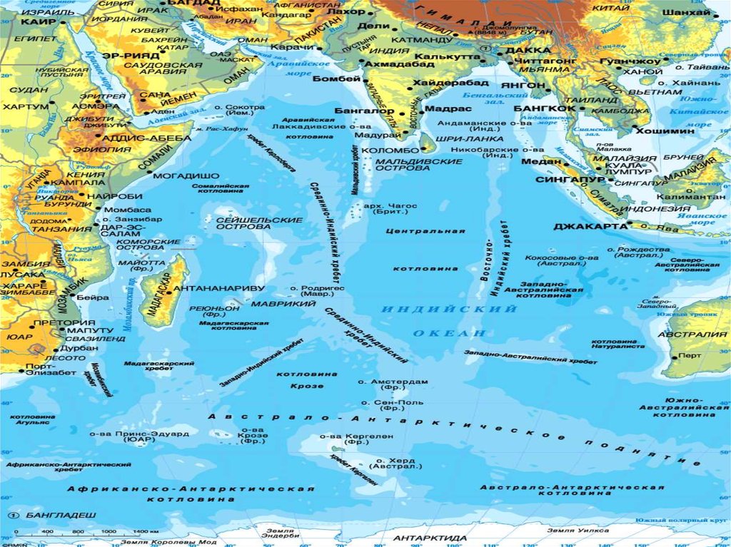 Подробная карта дна мирового океана