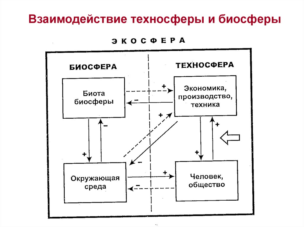 Замкнутая среда. 2. Каково соотношение понятий «Биосфера» и «Техносфера»?. Взаимодействие человека и биосферы. Взаимосвязь техносферы и биосферы. Основные направления взаимодействия биосферы и техносферы.