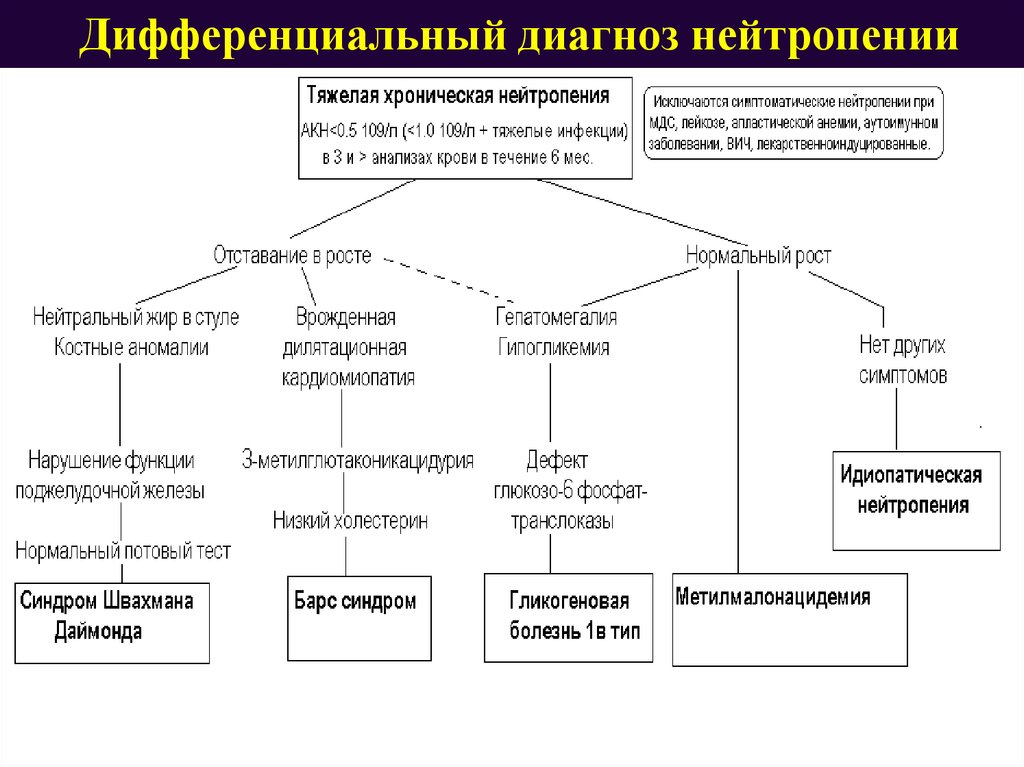 Синдром швахмана даймонда у детей презентация